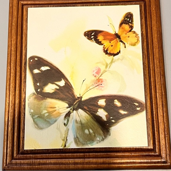 3 Charming Vintage Arthur A. Kaplan Butterflies on Wood prints - Picture 9 of 16